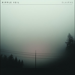 友田真希社长和夫人
